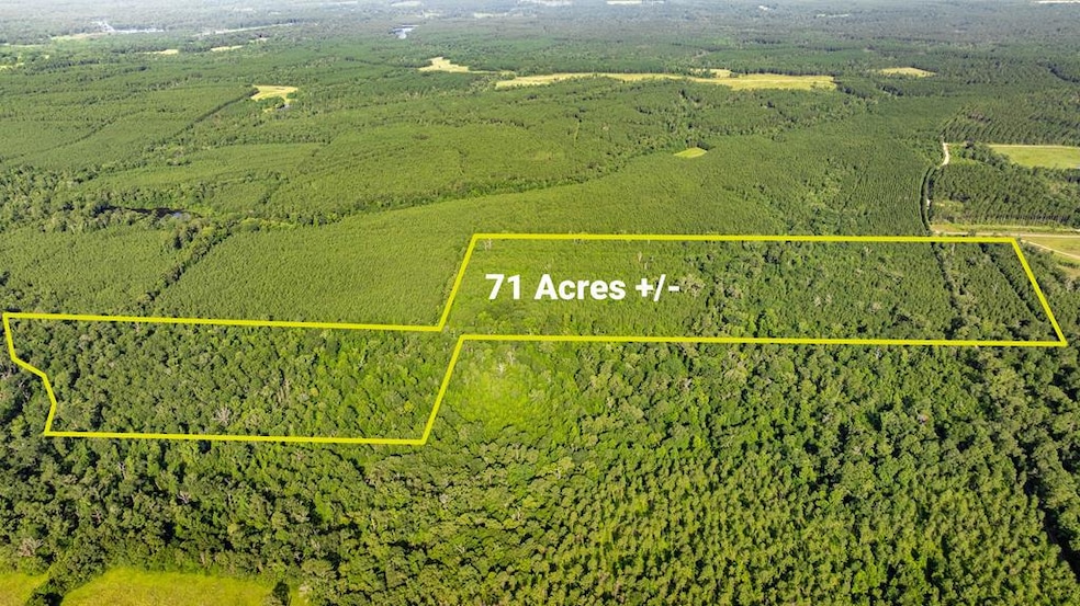 For Sale $620,000 • Co-Listing Agent