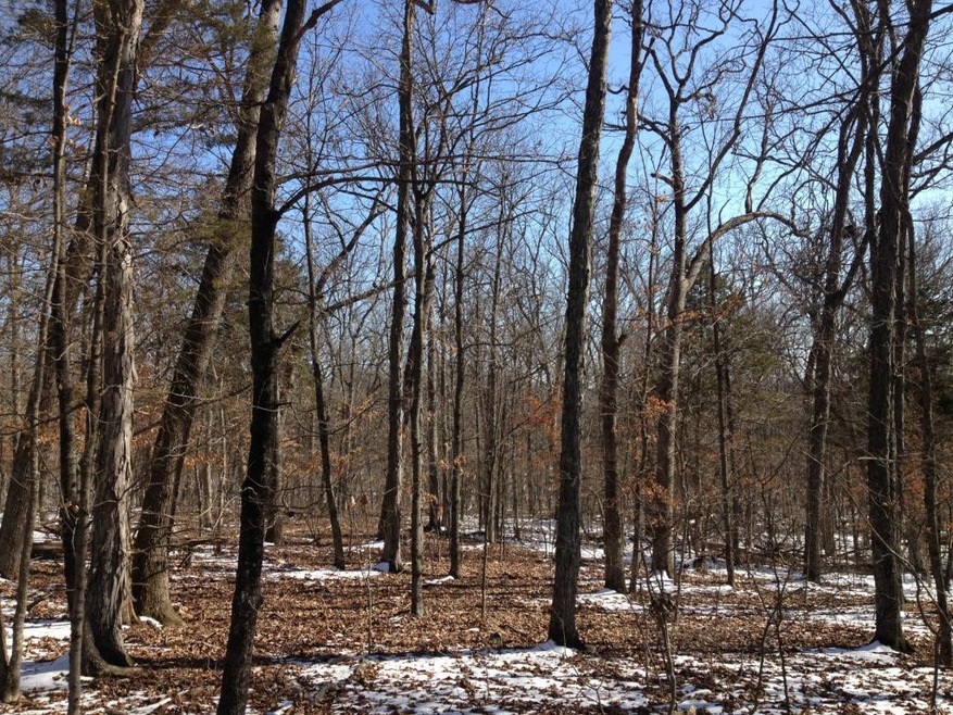 0 W Linda Ln unit 14063224, Lonedell, MO 63072 - photo 1