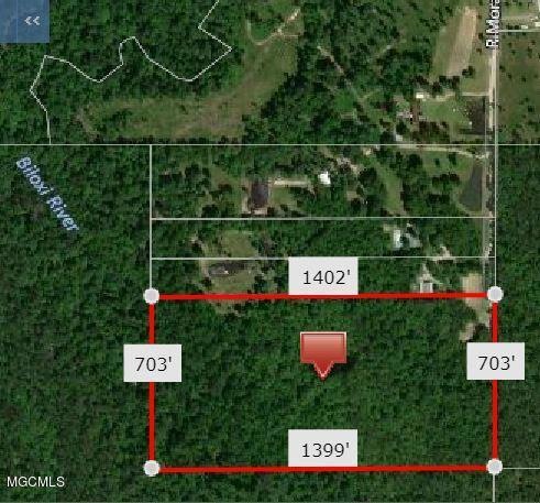 0 R Moran Rd unit 3345430, McHenry, MS 39561 - photo 1