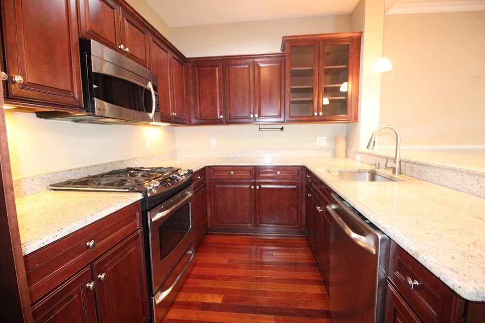 20 Corporal McTernan St unit 206, Cambridge, MA 02139 - photo 1