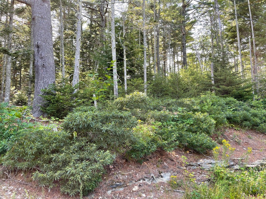 0 Presley Dr unit 1502018, Boothbay, ME 04544 - photo 1