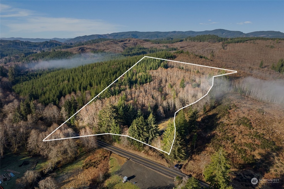 295 Butte Creek Rd, Raymond, WA 98577 - photo 1