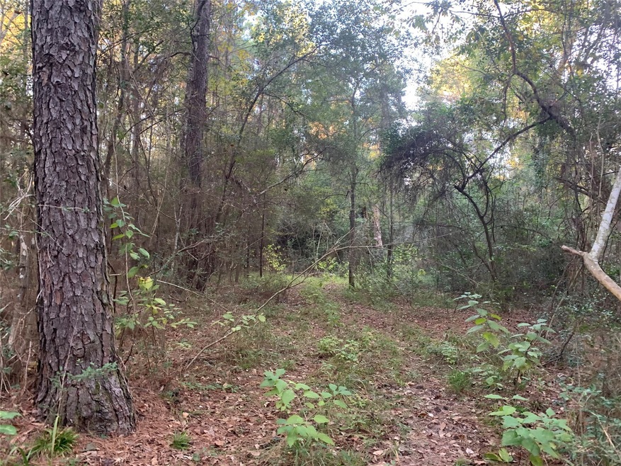 24424 Nichols Sawmill Rd, Magnolia, TX 77355 - photo 1