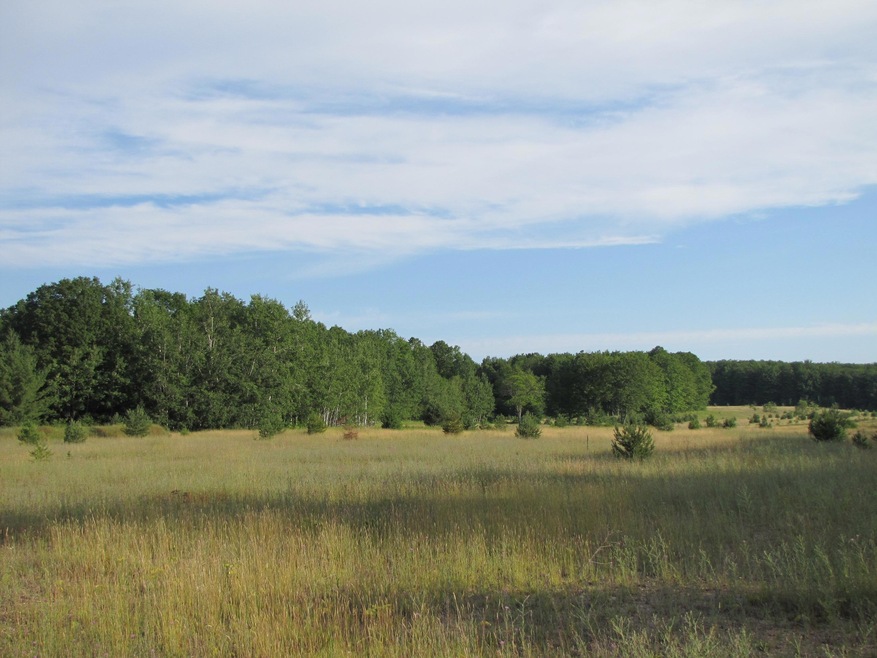 2012-07 MapleForest (77)