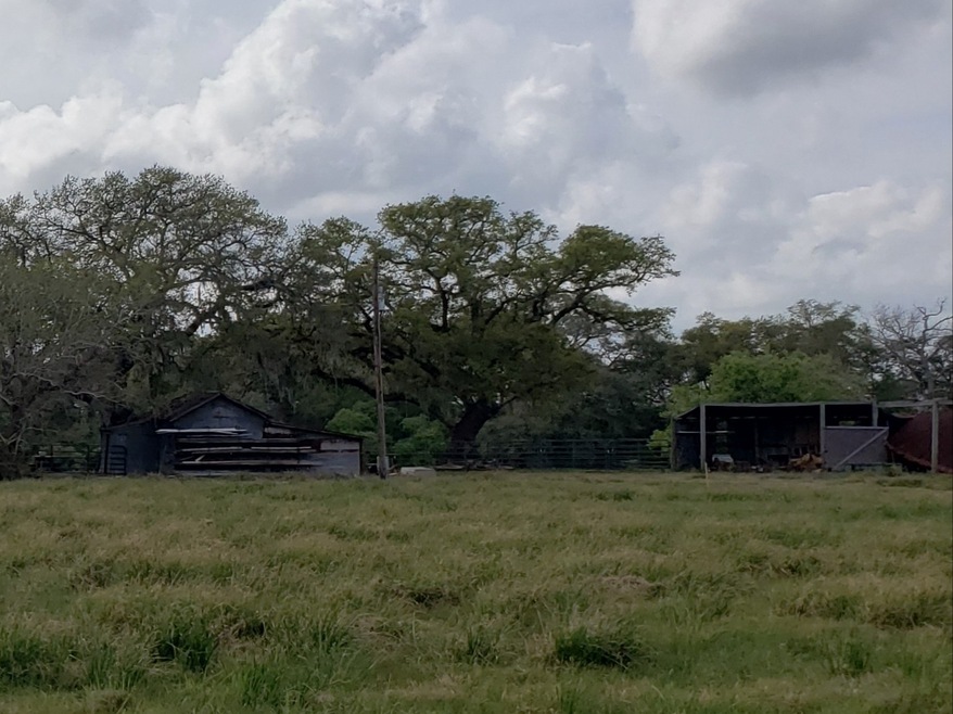 3199 Fm 521 Rd, Brazoria, TX 77422 - photo 1