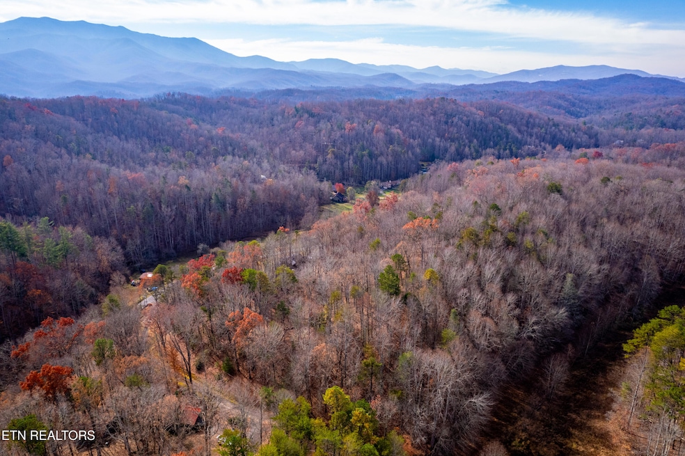 Lot 2 Tatem Marr Way, Sevierville, TN 37876 - photo 1