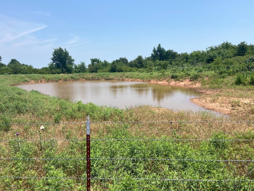 pond
