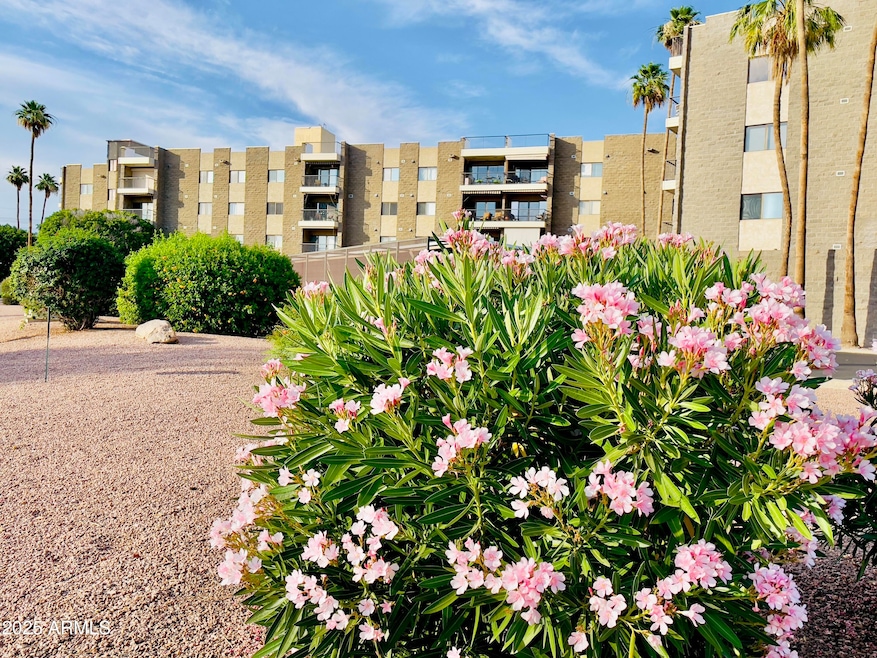 Sunland Towers