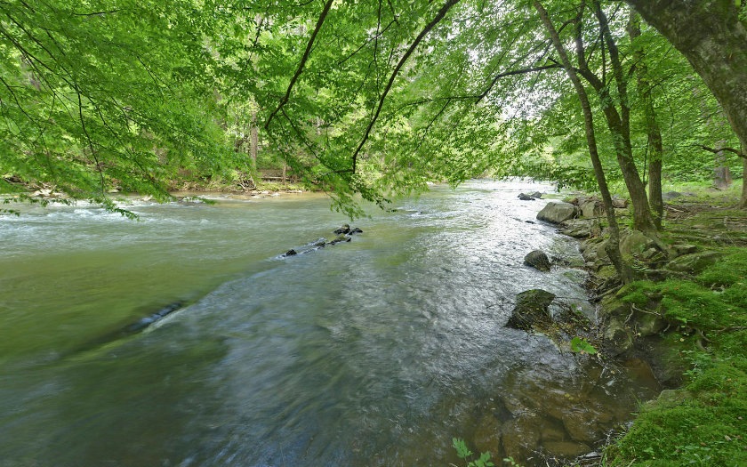 Main View
