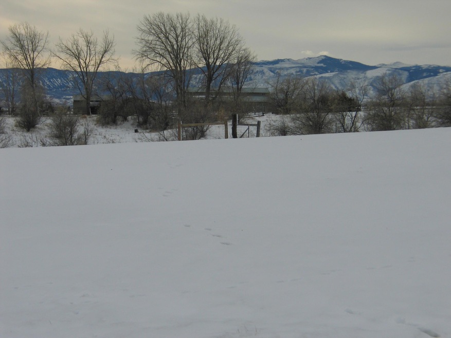 606 Mountain Shadows Boulevard