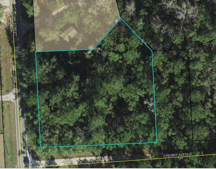 Lot 1-2 Oak St, Crawfordville, FL 32327 - photo 1