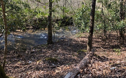 Main View