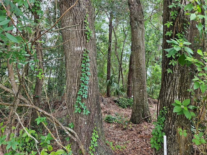 TBD SW 194th Ct unit LOT 37, Dunnellon, FL 34432 - photo 1