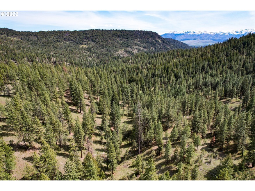 0 Forest Service Rd unit 22044352, Prairie City, OR 97869 - photo 1