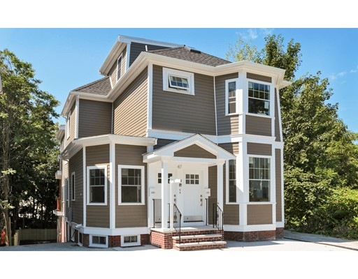 47 Alpine St unit 2, Roxbury, MA 02119 - photo 1