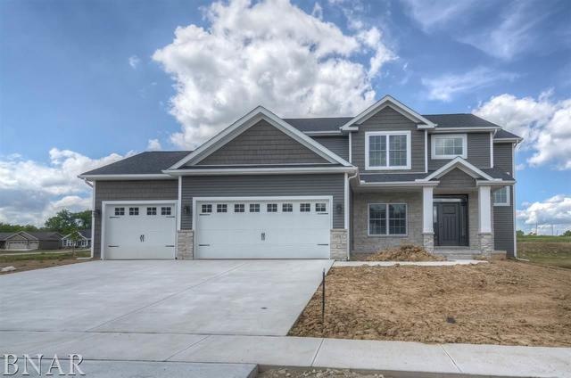 104 Dode, Downs, IL 61736 - photo 1