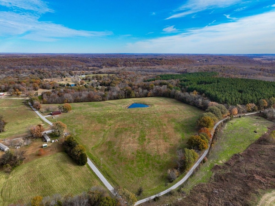 0 Ballowe Church Rd unit LotWP001, Vienna, IL 62995 - photo 1