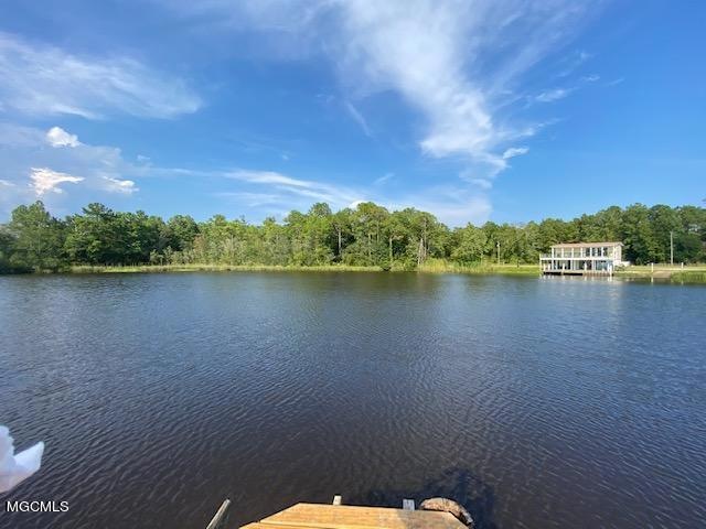 Cedar Lake 1