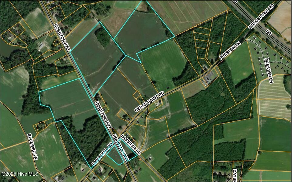 0 Hobbton Hwy unit 100510708, Newton Grove, NC 28366 - photo 1