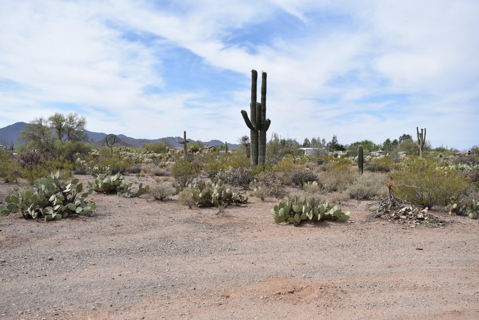 photos 003
