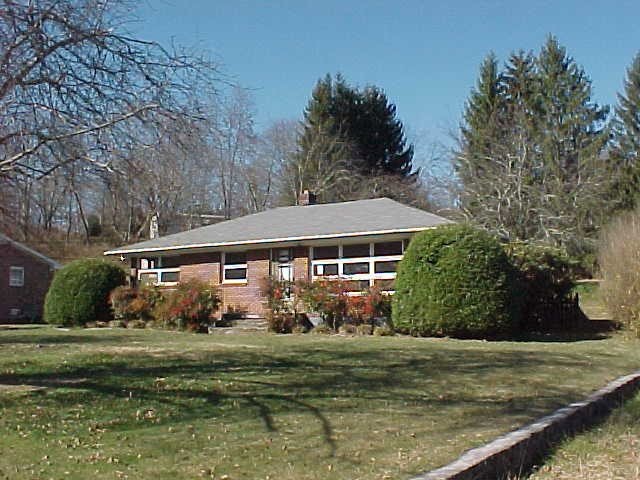 Main View