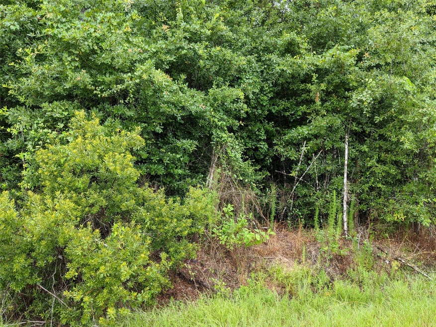 25153 Blackburn Dr, Splendora, TX 77372 - photo 1