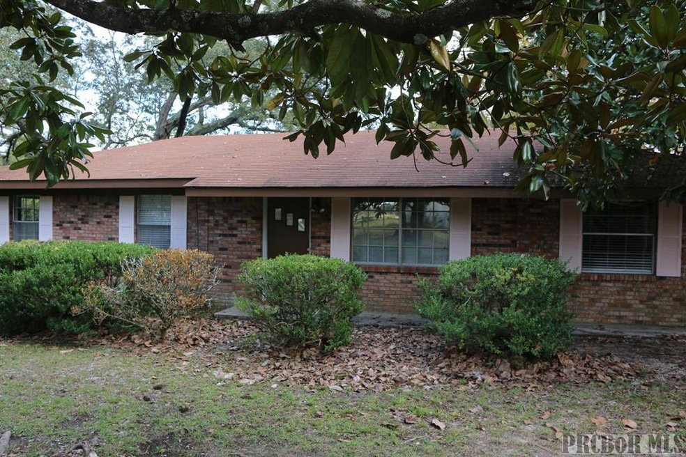 Main View
