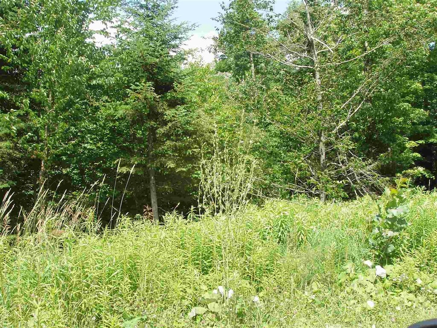 0 Moose Hollow Rd unit 40, Winhall, VT 05340 - photo 1