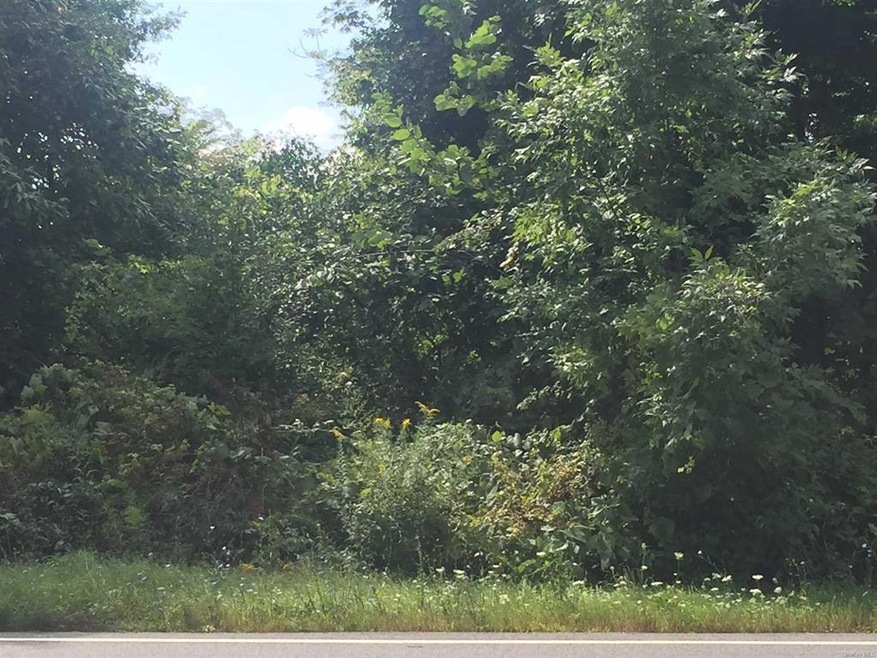 0 All Angels Hill Rd unit ONEHM365141, Wappinger, NY 12533 - photo 1