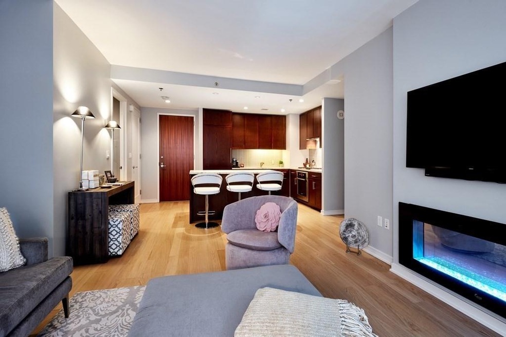 Millenium Place unit 505, Boston, MA 02111 - photo 1