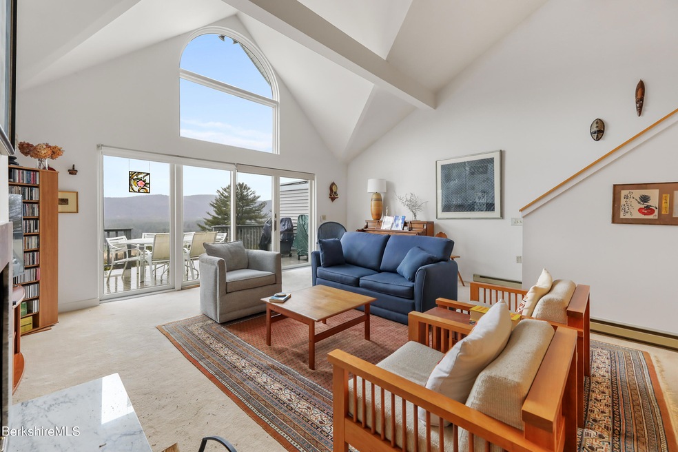 vaulted ceilings