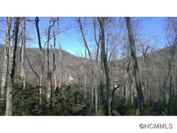 North East View to Pisgah NF