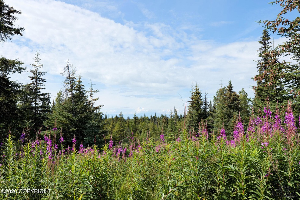 C13 Alaskan Wildwood Ranch(r), Nikolaevsk, AK 99556 - photo 1