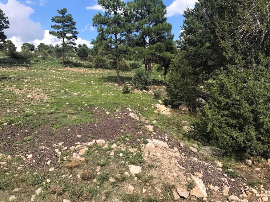 Mixed Vegetation