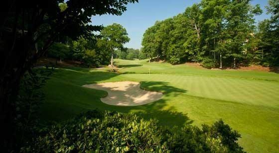 9315 Chandler Bluff, Alpharetta, GA 30022 - photo 1