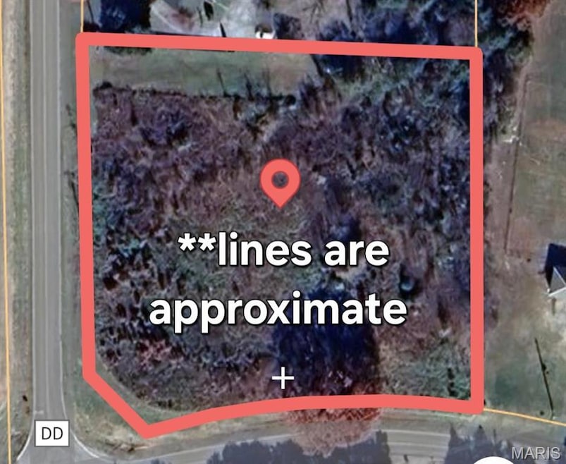 0 State Route Dd unit MAR25027340, Festus, MO 63028 - photo 1