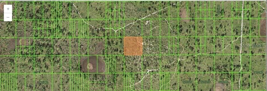 Wooded Tract