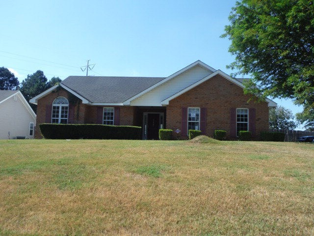 Main View