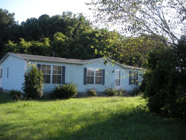 Main View