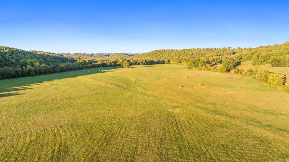 1141 Wafted Ln, Marshall, AR 72650 - photo 1