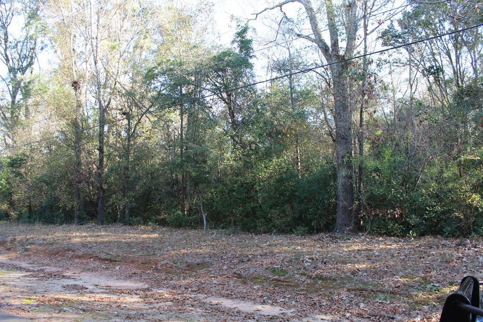 0 Lumpkin St, Albany, GA 31705 - photo 1