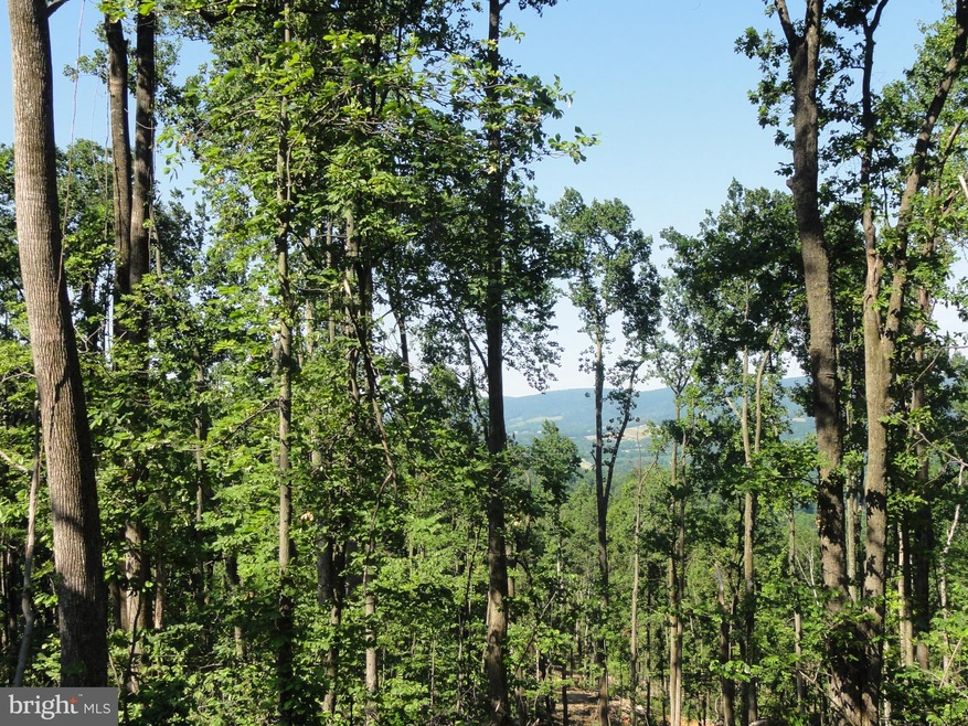 0 Hillsboro Overlook Ln unit VALO434492, Hillsboro, VA 20132 - photo 1