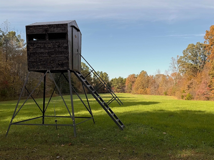 0 Silerton Rd, Toone, TN 38381 - photo 1