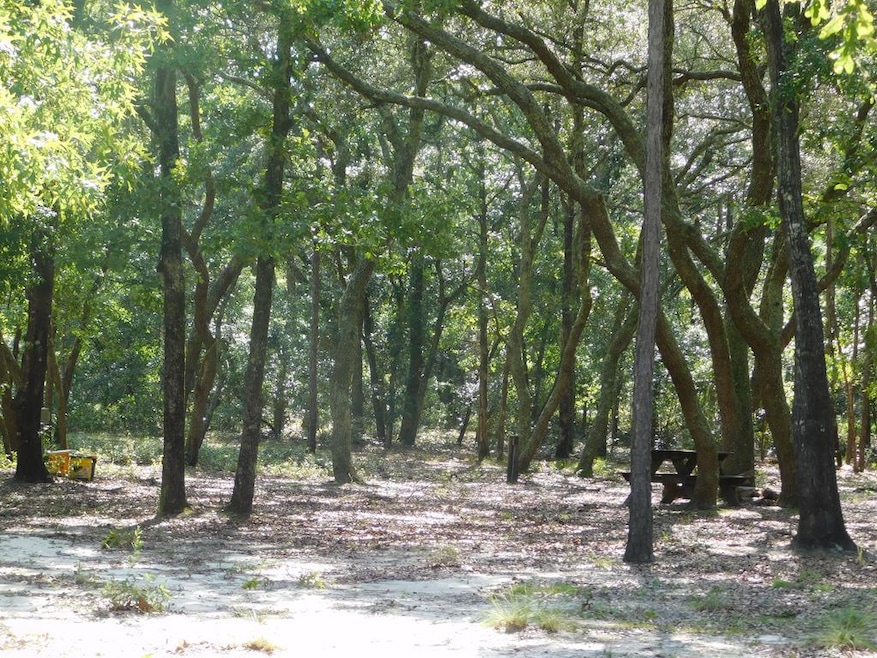 239 River Moss Rd, Reidsville, GA 30453 - photo 1