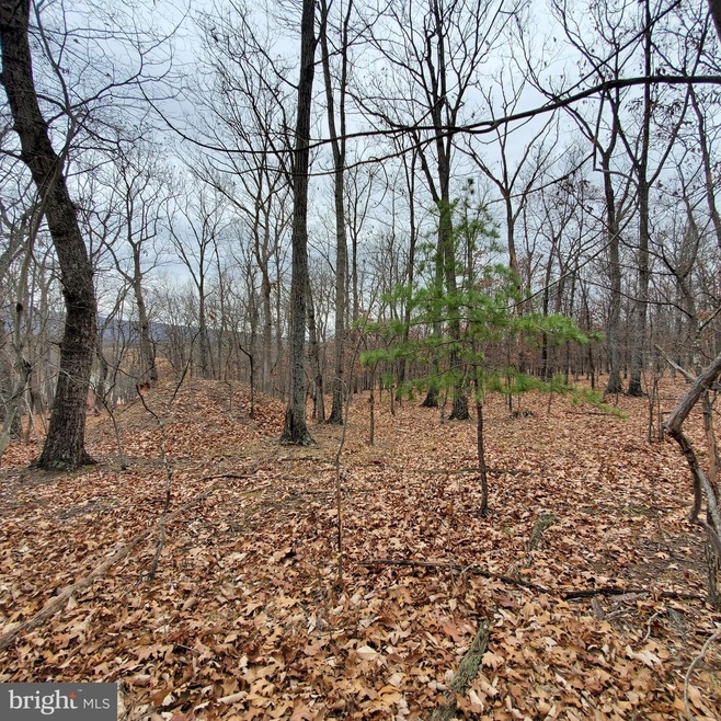 1409 Tabor Rd, Berkeley Springs, WV 25411 - photo 1