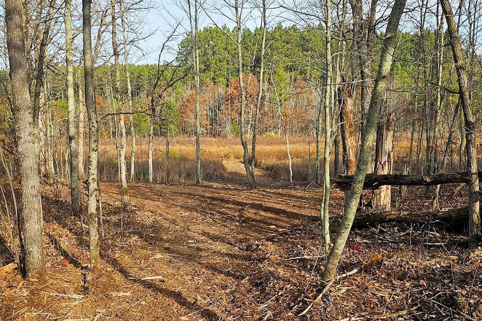 0 Welch Rd unit 25650595, Union Township, WI 54893 - photo 1