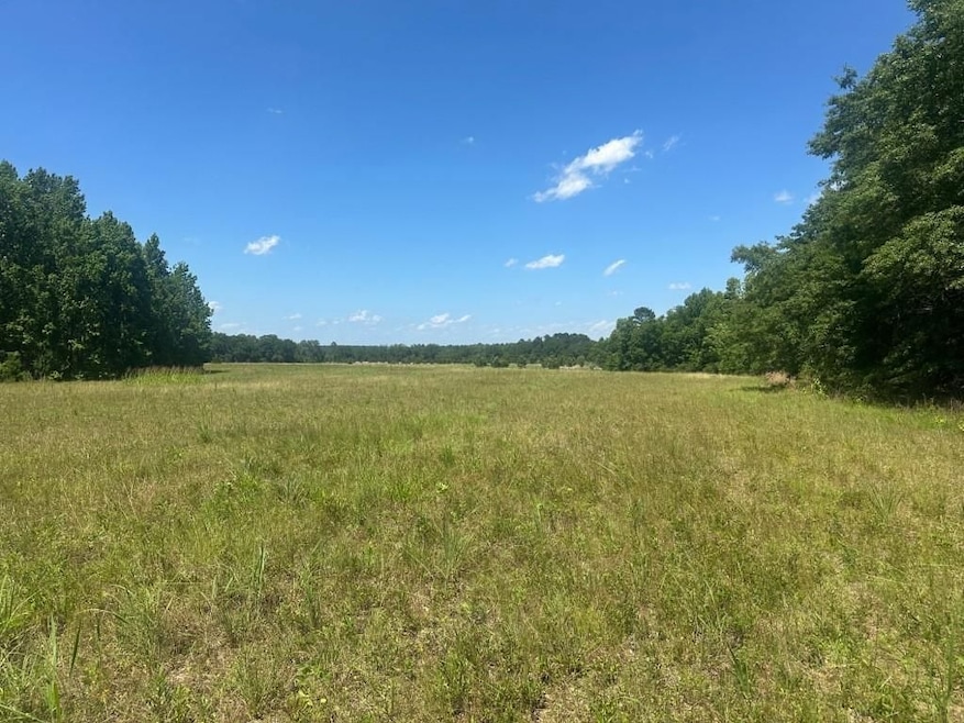 0 Rocky Knob Rd unit 22483768, Sylvania, GA 30467 - photo 1