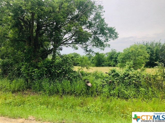 TBD 4th St, Bruceville-Eddy, TX 76524 - photo 1