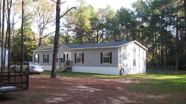 Main View
