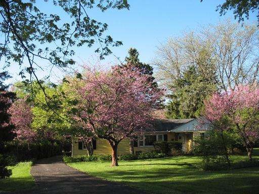 1850 Prairie St, Aurora, IL 60506 - photo 1